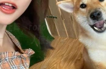短裙装上阵，roroki骷髅姬的美图更新让人惊掉下巴。