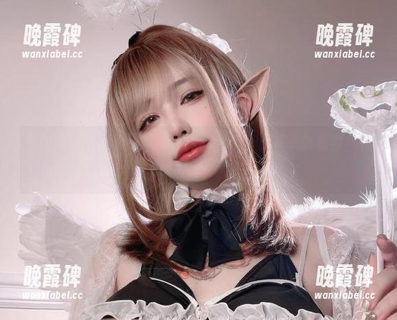 狐洛洛子的图集：双人合作无间，资源共享谁最会‘扯’？